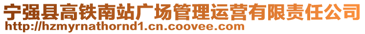 寧強(qiáng)縣高鐵南站廣場(chǎng)管理運(yùn)營有限責(zé)任公司