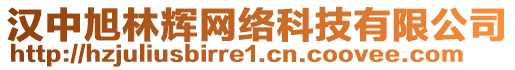 漢中旭林輝網(wǎng)絡(luò)科技有限公司