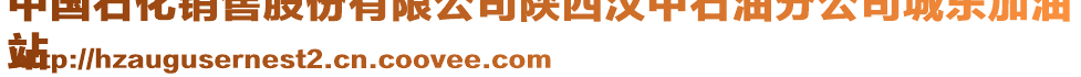 中國(guó)石化銷售股份有限公司陜西漢中石油分公司城東加油
站