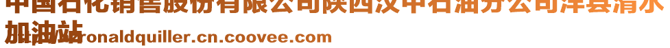 中國石化銷售股份有限公司陜西漢中石油分公司洋縣湑水
加油站