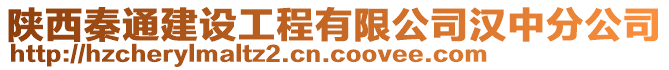 陜西秦通建設(shè)工程有限公司漢中分公司