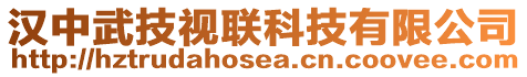 漢中武技視聯(lián)科技有限公司