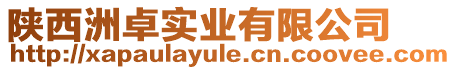 陜西洲卓實業(yè)有限公司