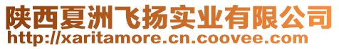 陜西夏洲飛揚實業(yè)有限公司