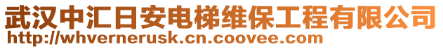 武漢中匯日安電梯維保工程有限公司