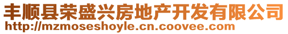 豐順縣榮盛興房地產(chǎn)開(kāi)發(fā)有限公司