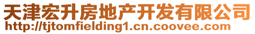 天津宏升房地產(chǎn)開發(fā)有限公司