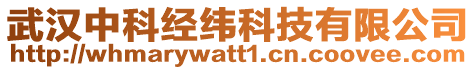 武漢中科經(jīng)緯科技有限公司