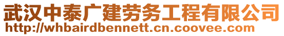 武漢中泰廣建勞務(wù)工程有限公司