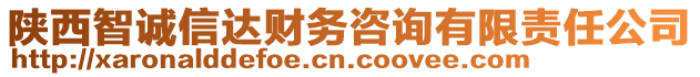 陜西智誠(chéng)信達(dá)財(cái)務(wù)咨詢(xún)有限責(zé)任公司