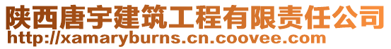 陜西唐宇建筑工程有限責任公司