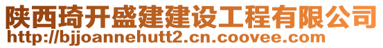 陜西琦開盛建建設(shè)工程有限公司