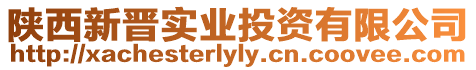陜西新晉實業投資有限公司