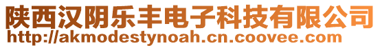 陜西漢陰樂豐電子科技有限公司