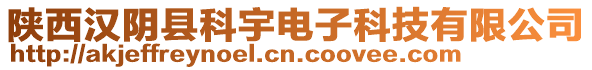 陜西漢陰縣科宇電子科技有限公司