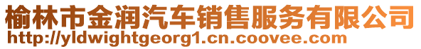 榆林市金潤(rùn)汽車銷售服務(wù)有限公司