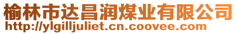 榆林市達(dá)昌潤煤業(yè)有限公司