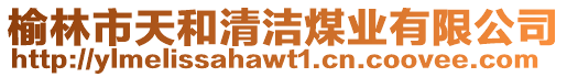 榆林市天和清潔煤業(yè)有限公司