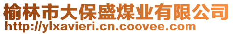 榆林市大保盛煤業(yè)有限公司