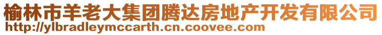 榆林市羊老大集團(tuán)騰達(dá)房地產(chǎn)開發(fā)有限公司