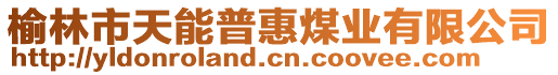 榆林市天能普惠煤業(yè)有限公司