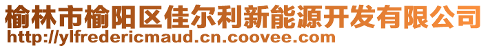 榆林市榆陽區(qū)佳爾利新能源開發(fā)有限公司