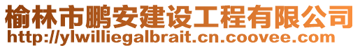 榆林市鵬安建設工程有限公司