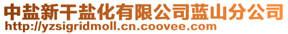 中鹽新干鹽化有限公司藍(lán)山分公司