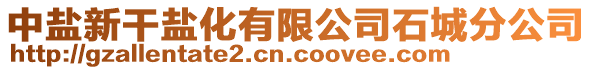 中鹽新干鹽化有限公司石城分公司