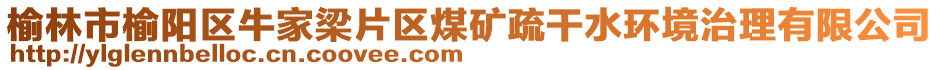 榆林市榆陽區(qū)牛家梁片區(qū)煤礦疏干水環(huán)境治理有限公司