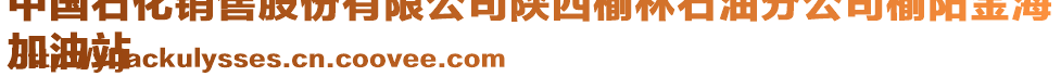 中國(guó)石化銷(xiāo)售股份有限公司陜西榆林石油分公司榆陽(yáng)金海
加油站