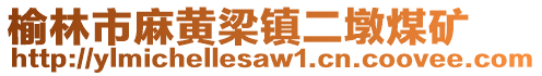 榆林市麻黃梁鎮(zhèn)二墩煤礦