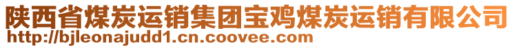 陜西省煤炭運(yùn)銷集團(tuán)寶雞煤炭運(yùn)銷有限公司