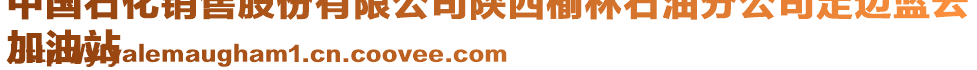 中國石化銷售股份有限公司陜西榆林石油分公司定邊藍(lán)云
加油站