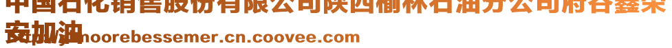 中國(guó)石化銷售股份有限公司陜西榆林石油分公司府谷鑫榮
安加油