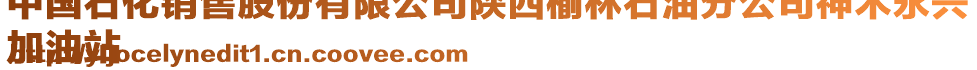 中國石化銷售股份有限公司陜西榆林石油分公司神木永興
加油站