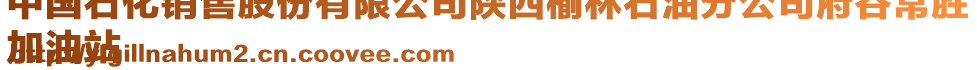 中國石化銷售股份有限公司陜西榆林石油分公司府谷常勝
加油站