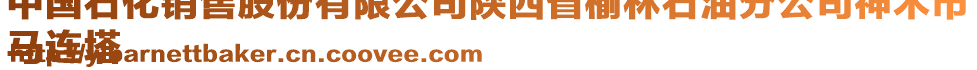 中國(guó)石化銷(xiāo)售股份有限公司陜西省榆林石油分公司神木市
馬連塔