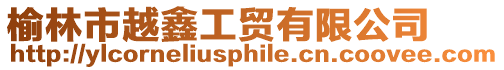 榆林市越鑫工貿(mào)有限公司