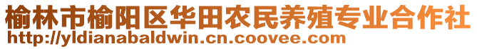 榆林市榆陽區(qū)華田農(nóng)民養(yǎng)殖專業(yè)合作社