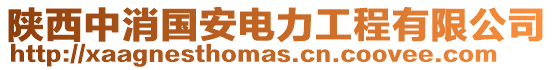 陜西中消國安電力工程有限公司