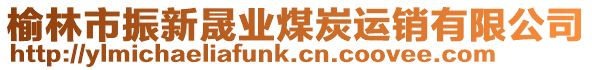 榆林市振新晟業(yè)煤炭運銷有限公司