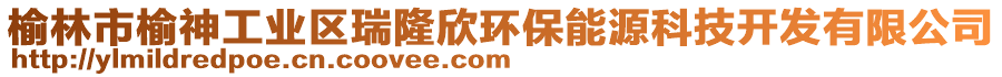 榆林市榆神工業(yè)區(qū)瑞隆欣環(huán)保能源科技開發(fā)有限公司