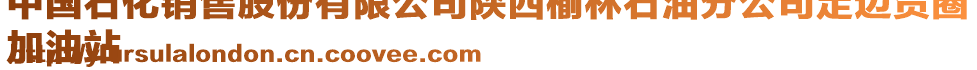 中國(guó)石化銷售股份有限公司陜西榆林石油分公司定邊賀圈
加油站