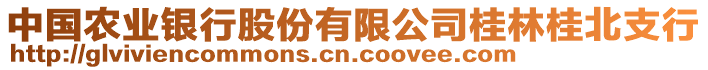 中國農(nóng)業(yè)銀行股份有限公司桂林桂北支行