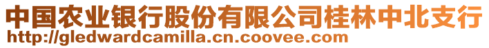 中國(guó)農(nóng)業(yè)銀行股份有限公司桂林中北支行