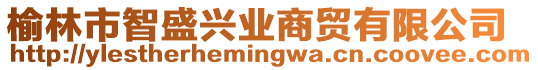 榆林市智盛興業(yè)商貿(mào)有限公司