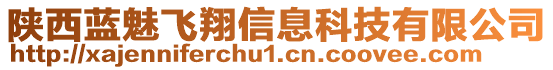 陜西藍(lán)魅飛翔信息科技有限公司