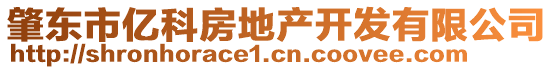 肇東市億科房地產(chǎn)開發(fā)有限公司