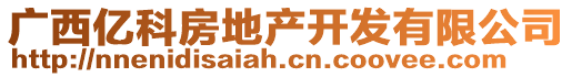 廣西億科房地產(chǎn)開發(fā)有限公司